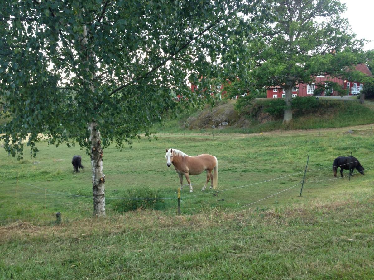 Yxningens Holiday Homes, Cottages And Camping Gusum ภายนอก รูปภาพ